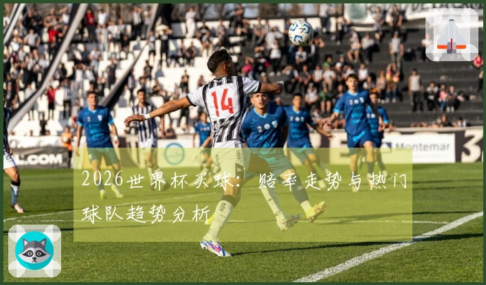 2026世界杯买球：赔率走势与热门球队趋势分析