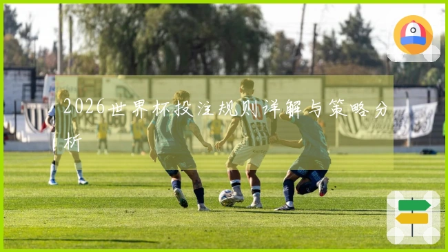 2026世界杯投注规则详解与策略分析