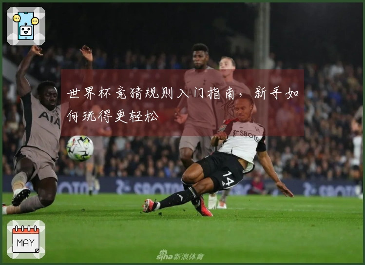 世界杯竞猜规则入门指南，新手如何玩得更轻松