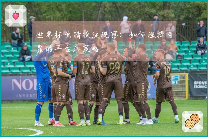 世界杯竞猜投注观察：如何选择可靠的平台和策略