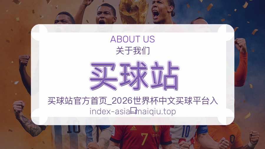 关于 买球站 团队与服务